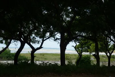 DSC_7637 (Large).JPG